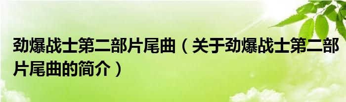 勁爆戰(zhàn)士第二部片尾曲（關(guān)于勁爆戰(zhàn)士第二部片尾曲的簡介）