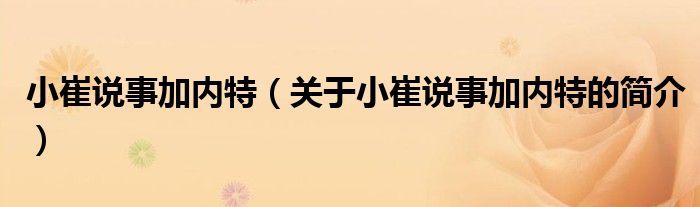 小崔說事加內(nèi)特（關(guān)于小崔說事加內(nèi)特的簡(jiǎn)介）