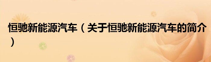 恒馳新能源汽車（關(guān)于恒馳新能源汽車的簡(jiǎn)介）