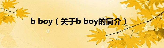 b boy（關(guān)于b boy的簡介）