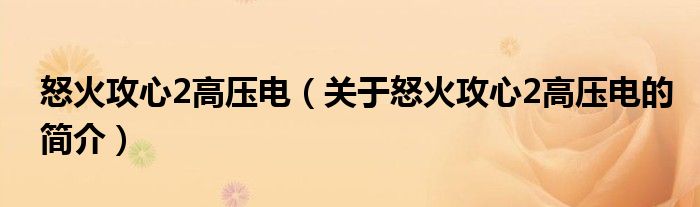 怒火攻心2高壓電（關(guān)于怒火攻心2高壓電的簡(jiǎn)介）