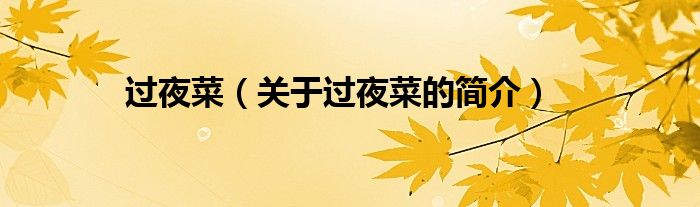 過夜菜（關(guān)于過夜菜的簡(jiǎn)介）