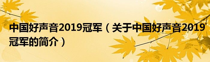 中國好聲音2019冠軍（關于中國好聲音2019冠軍的簡介）