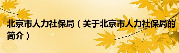 北京市人力社保局（關(guān)于北京市人力社保局的簡介）