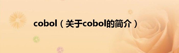 cobol（關于cobol的簡介）