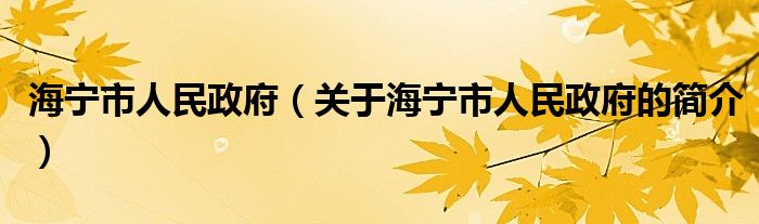 海寧市人民政府（關(guān)于海寧市人民政府的簡介）