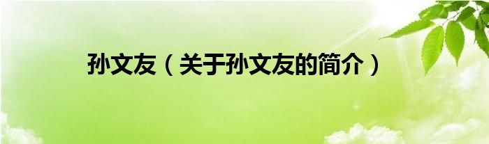 孫文友（關(guān)于孫文友的簡(jiǎn)介）