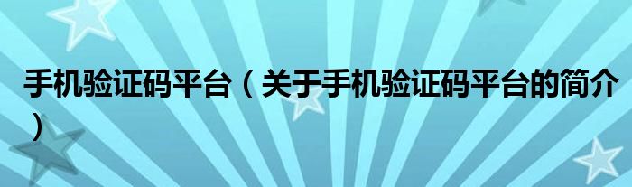 手機驗證碼平臺（關于手機驗證碼平臺的簡介）