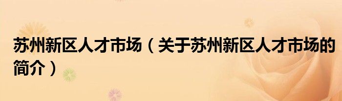 蘇州新區(qū)人才市場（關于蘇州新區(qū)人才市場的簡介）