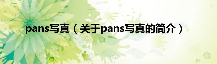 pans寫真（關(guān)于pans寫真的簡介）