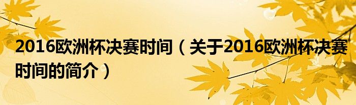 2016歐洲杯決賽時間（關于2016歐洲杯決賽時間的簡介）