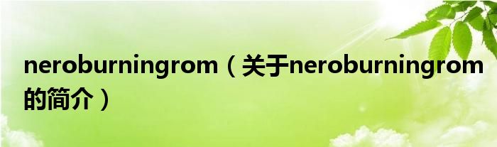 neroburningrom（關于neroburningrom的簡介）