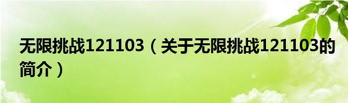 無限挑戰(zhàn)121103（關(guān)于無限挑戰(zhàn)121103的簡介）