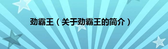 勁霸王（關(guān)于勁霸王的簡(jiǎn)介）