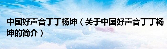 中國(guó)好聲音丁丁楊坤（關(guān)于中國(guó)好聲音丁丁楊坤的簡(jiǎn)介）