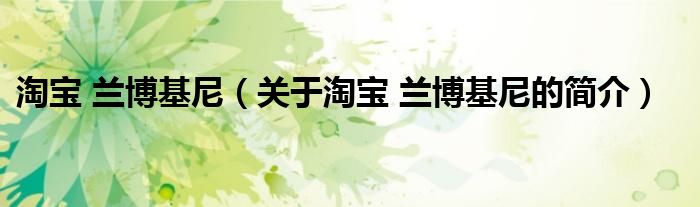 淘寶 蘭博基尼（關(guān)于淘寶 蘭博基尼的簡(jiǎn)介）