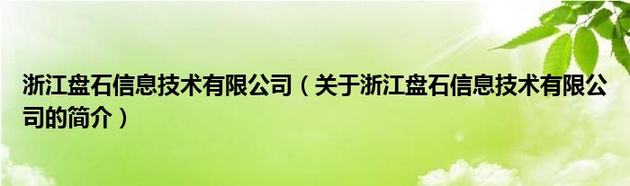 浙江盤石信息技術有限公司（關于浙江盤石信息技術有限公司的簡介）