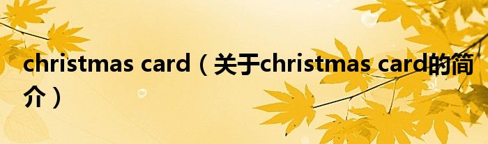 christmas card（關(guān)于christmas card的簡(jiǎn)介）