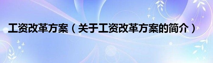 工資改革方案（關(guān)于工資改革方案的簡(jiǎn)介）