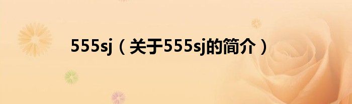 555sj（關(guān)于555sj的簡介）