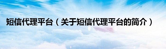 短信代理平臺（關于短信代理平臺的簡介）