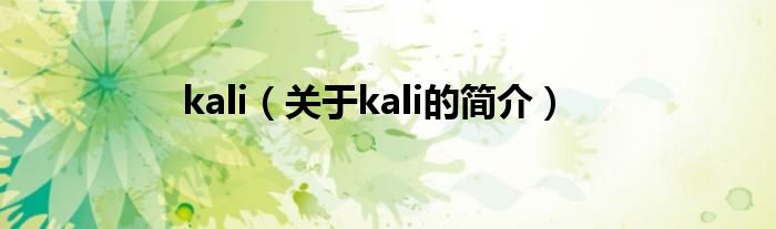 kali（關(guān)于kali的簡(jiǎn)介）