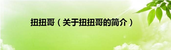 扭扭哥（關(guān)于扭扭哥的簡(jiǎn)介）