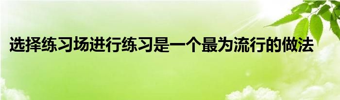 選擇練習(xí)場進行練習(xí)是一個最為流行的做法