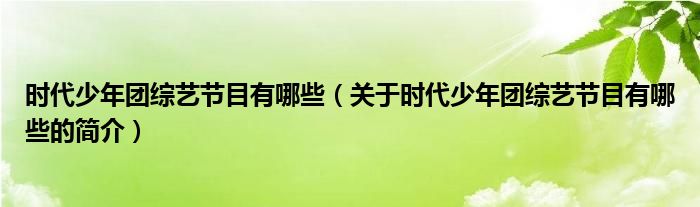 時(shí)代少年團(tuán)綜藝節(jié)目有哪些（關(guān)于時(shí)代少年團(tuán)綜藝節(jié)目有哪些的簡介）