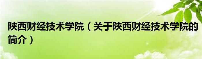 陜西財(cái)經(jīng)技術(shù)學(xué)院（關(guān)于陜西財(cái)經(jīng)技術(shù)學(xué)院的簡(jiǎn)介）