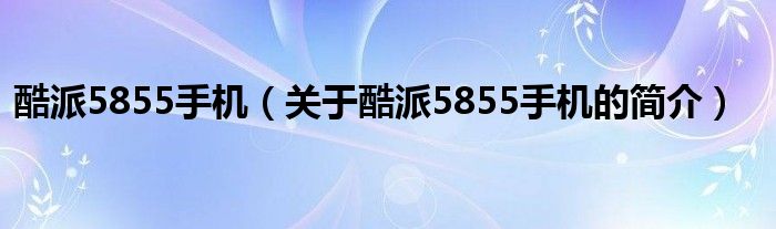 酷派5855手機(jī)（關(guān)于酷派5855手機(jī)的簡(jiǎn)介）