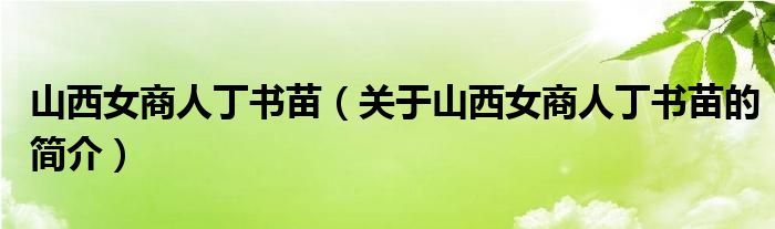 山西女商人丁書苗（關(guān)于山西女商人丁書苗的簡(jiǎn)介）