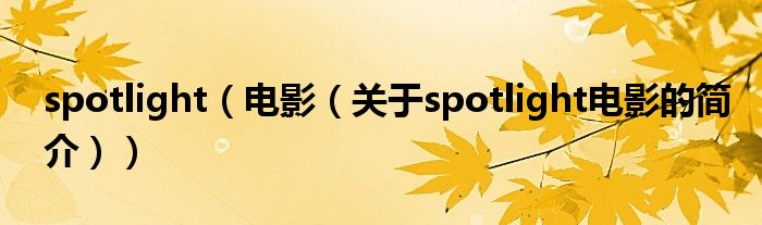 spotlight（電影（關(guān)于spotlight電影的簡(jiǎn)介））