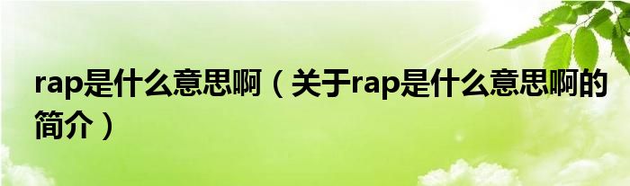 rap是什么意思?。P(guān)于rap是什么意思啊的簡(jiǎn)介）