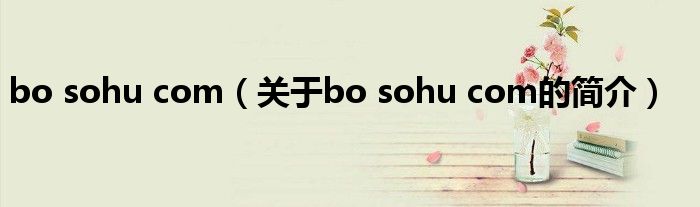 bo sohu com（關(guān)于bo sohu com的簡(jiǎn)介）