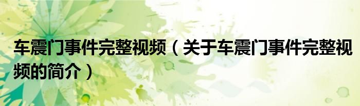 車震門事件完整視頻（關(guān)于車震門事件完整視頻的簡介）