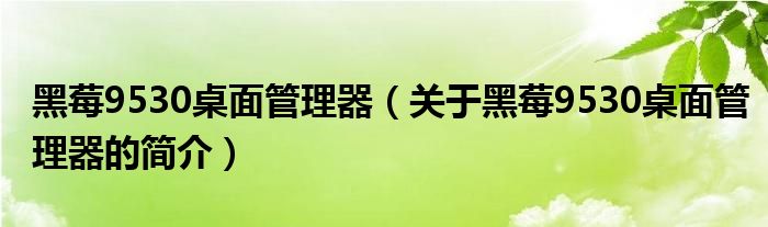 黑莓9530桌面管理器（關于黑莓9530桌面管理器的簡介）