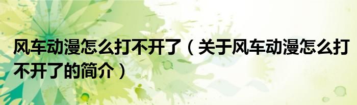 風(fēng)車動(dòng)漫怎么打不開(kāi)了（關(guān)于風(fēng)車動(dòng)漫怎么打不開(kāi)了的簡(jiǎn)介）