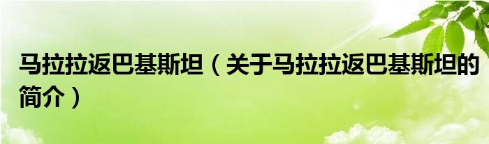 馬拉拉返巴基斯坦（關于馬拉拉返巴基斯坦的簡介）