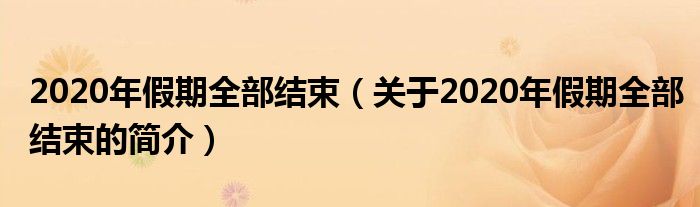 2020年假期全部結束（關于2020年假期全部結束的簡介）