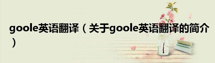 goole英語翻譯（關于goole英語翻譯的簡介）