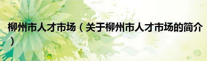 柳州市人才市場（關于柳州市人才市場的簡介）