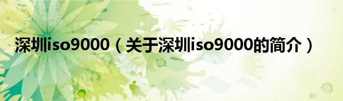 深圳iso9000（關(guān)于深圳iso9000的簡介）