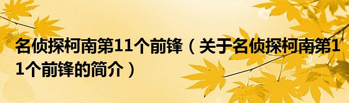 名偵探柯南第11個(gè)前鋒（關(guān)于名偵探柯南第11個(gè)前鋒的簡介）