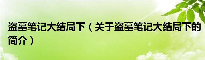 盜墓筆記大結(jié)局下（關(guān)于盜墓筆記大結(jié)局下的簡(jiǎn)介）