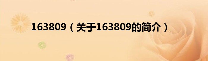 163809（關(guān)于163809的簡介）