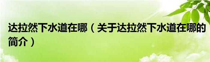 達(dá)拉然下水道在哪（關(guān)于達(dá)拉然下水道在哪的簡介）