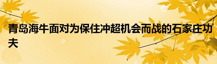 青島海牛面對(duì)為保住沖超機(jī)會(huì)而戰(zhàn)的石家莊功夫