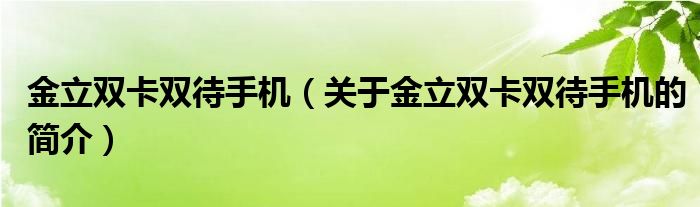 金立雙卡雙待手機（關(guān)于金立雙卡雙待手機的簡介）