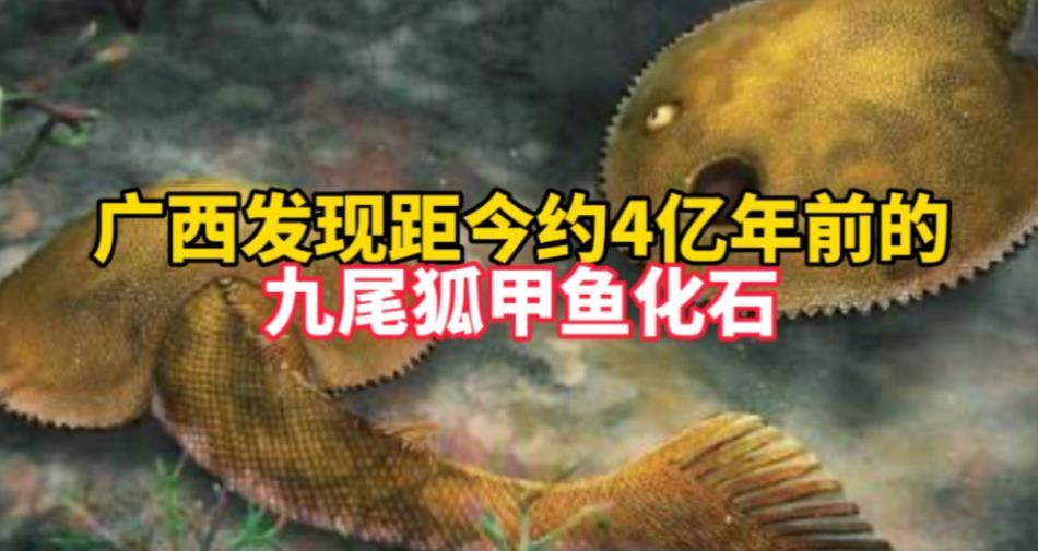 發(fā)現(xiàn)新屬種九尾狐甲魚(yú)，揭開(kāi)盔甲魚(yú)類(lèi)尾鰭的神秘面紗